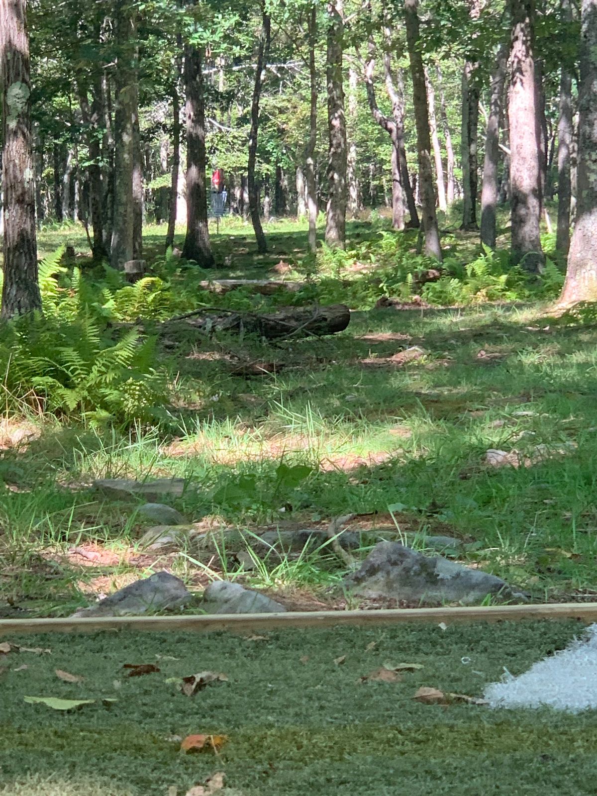 Hole 16