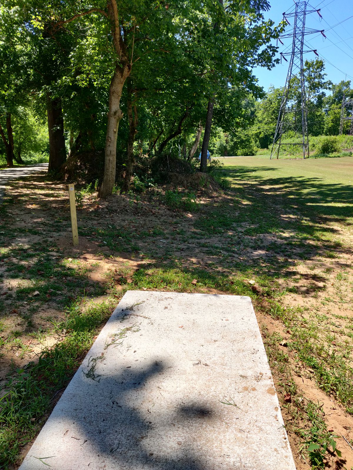 Hole 14. Looking down the fairway. Basket is in line with the wooden power pole that can be seen through the trees.