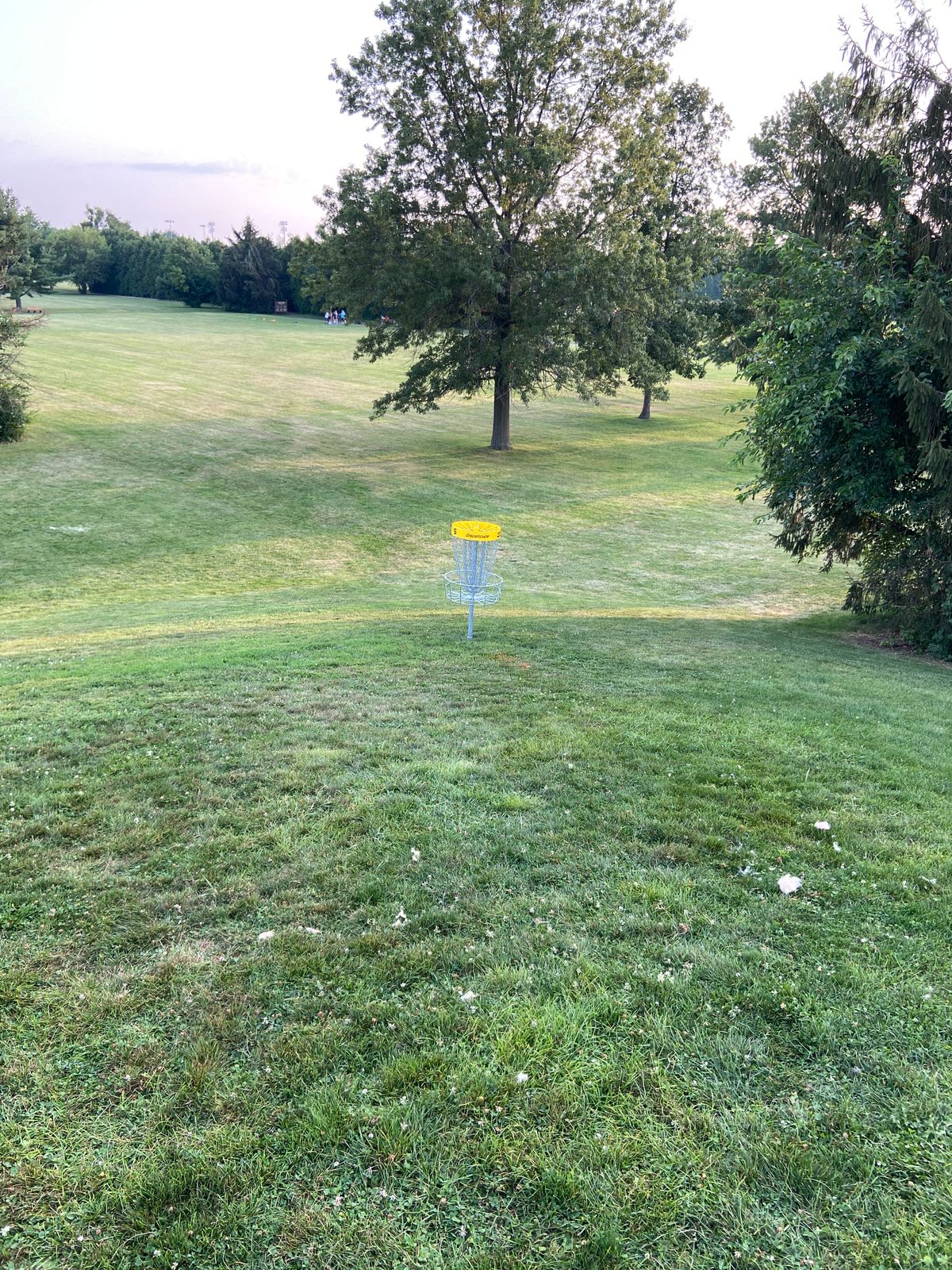 View from tee pad 6 looking at pin for 5