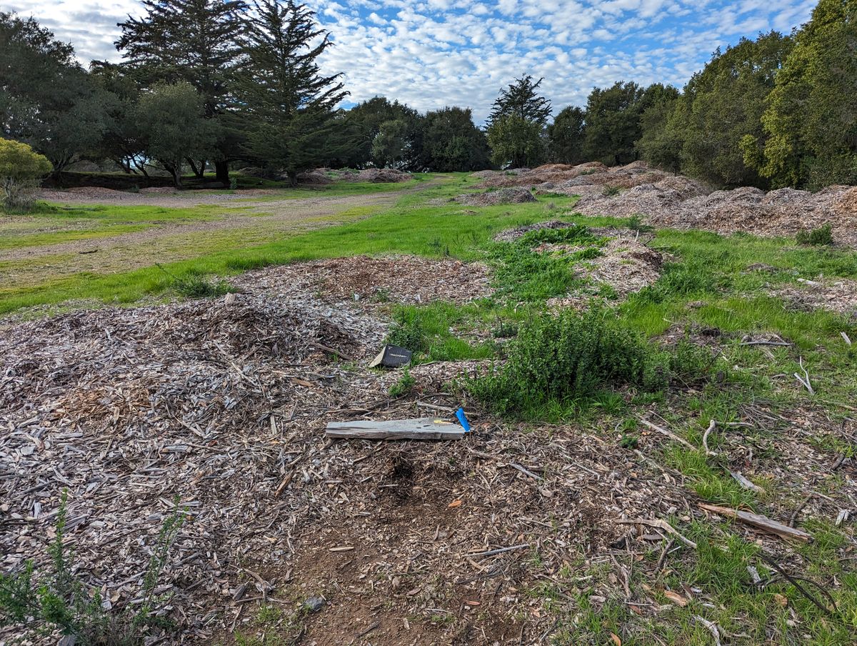 Tee areas are hard to find, but they are there