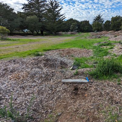 Tee areas are hard to find, but they are there