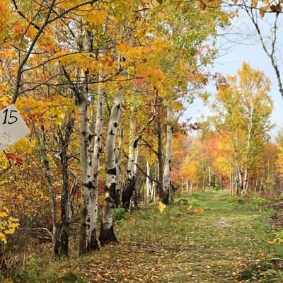 Hole 15 tee oct 20 21