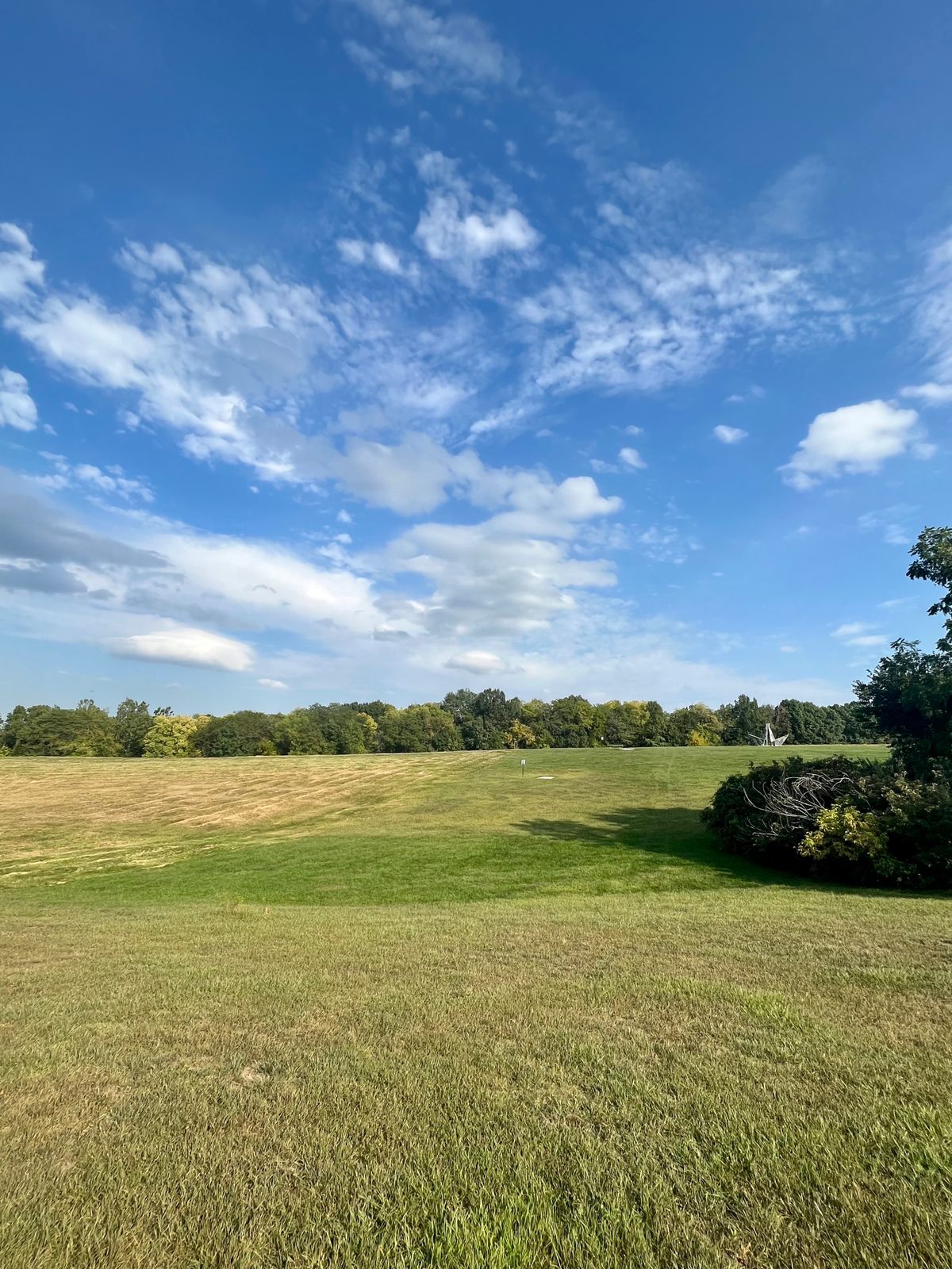 Hole 8 fairway and teepads