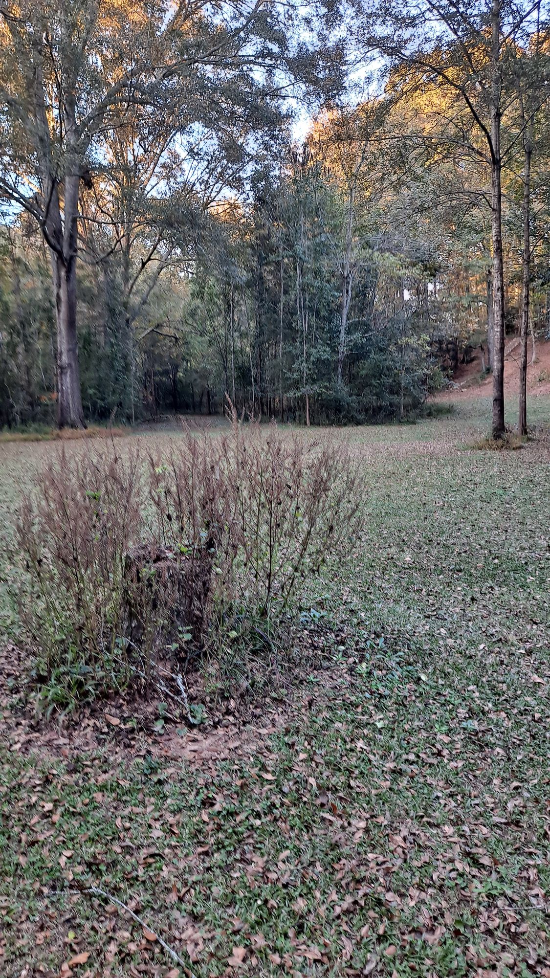 #16 long approach
