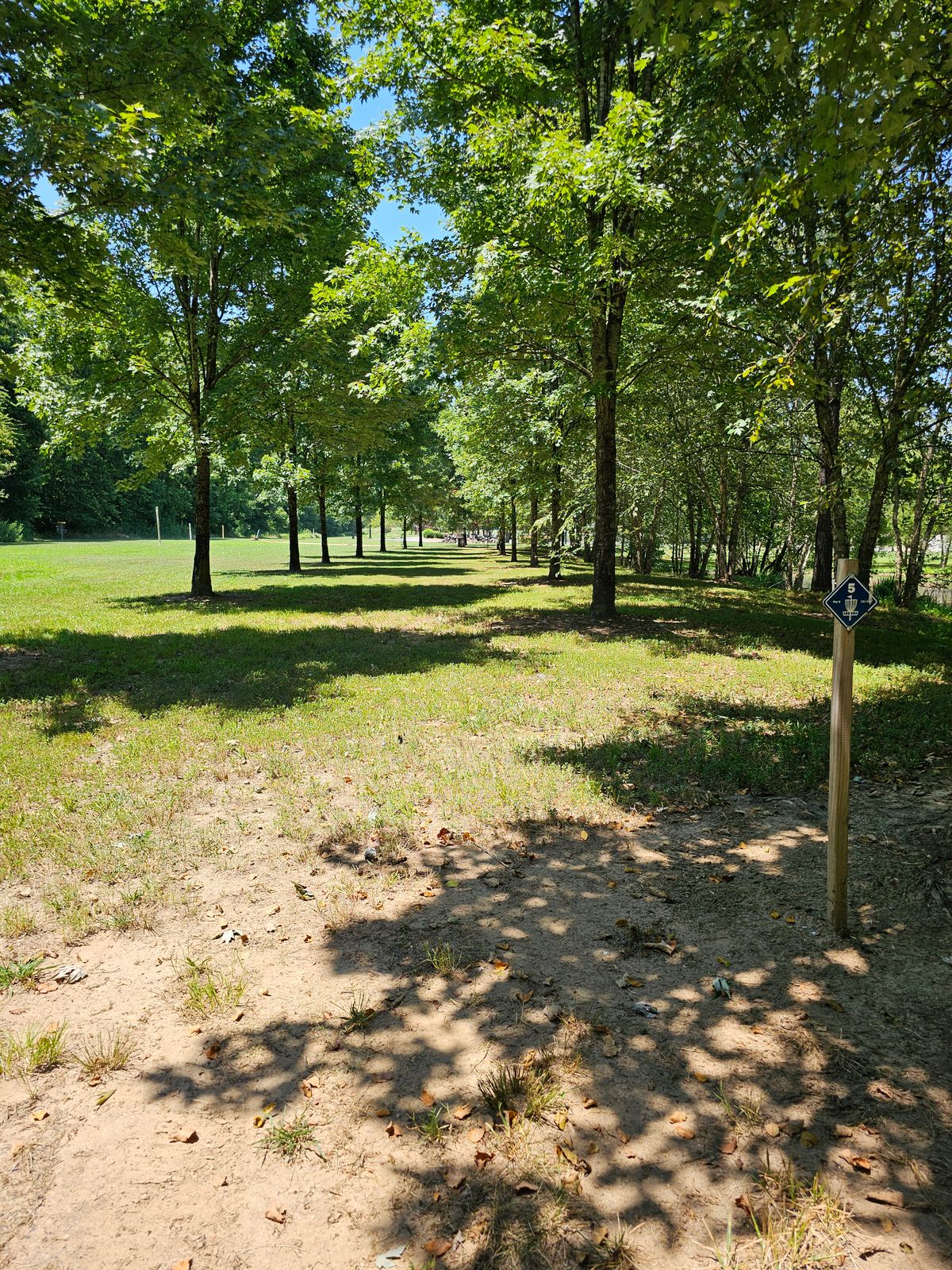 Hole 5 (water on the right side of fairway)