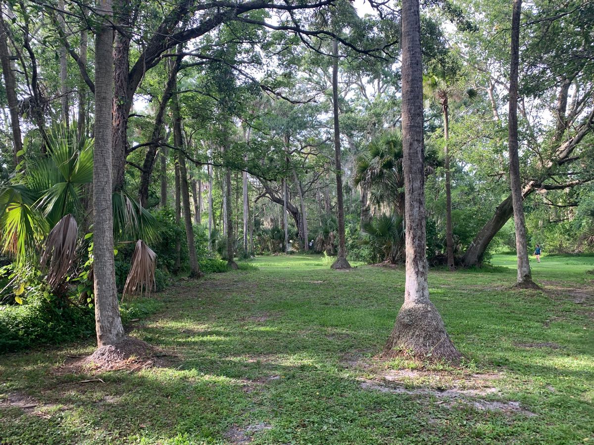 Johansen Park