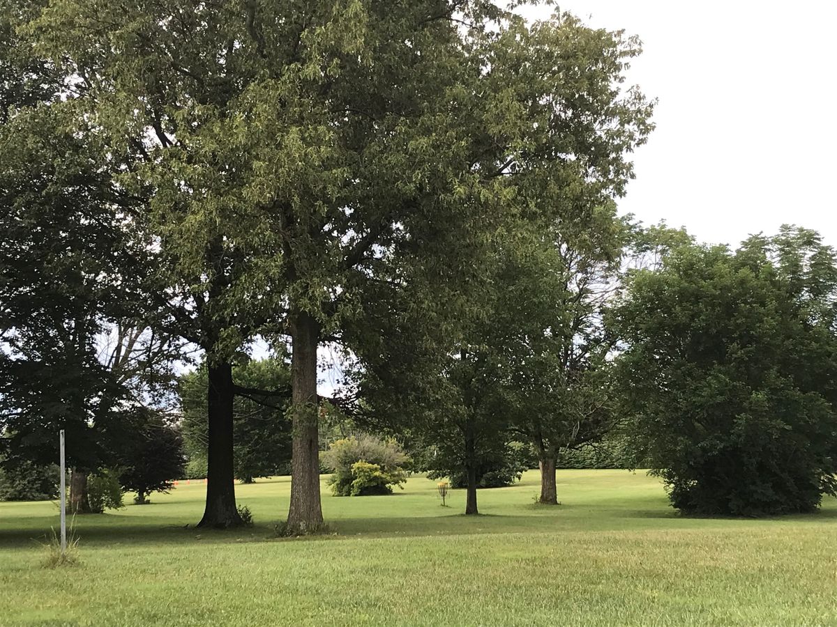Hole 5