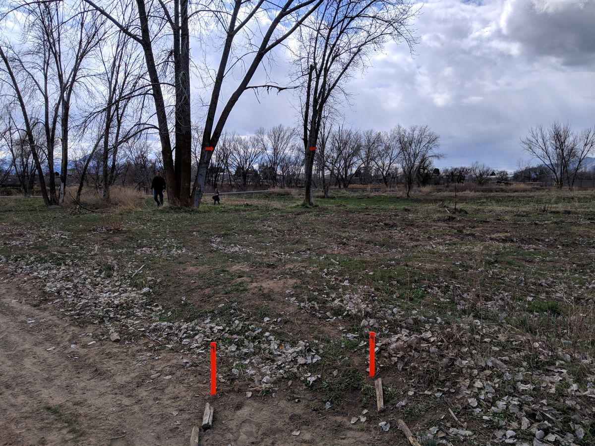 Hole #4 Tee