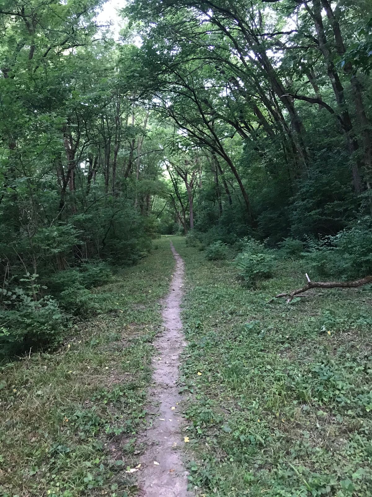 Hole 8 second shot