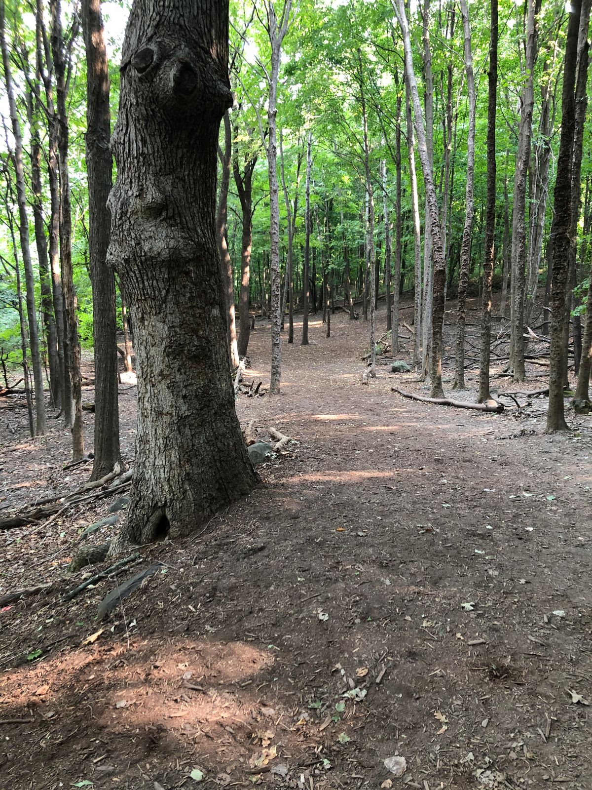Hole 10... almost an ace
