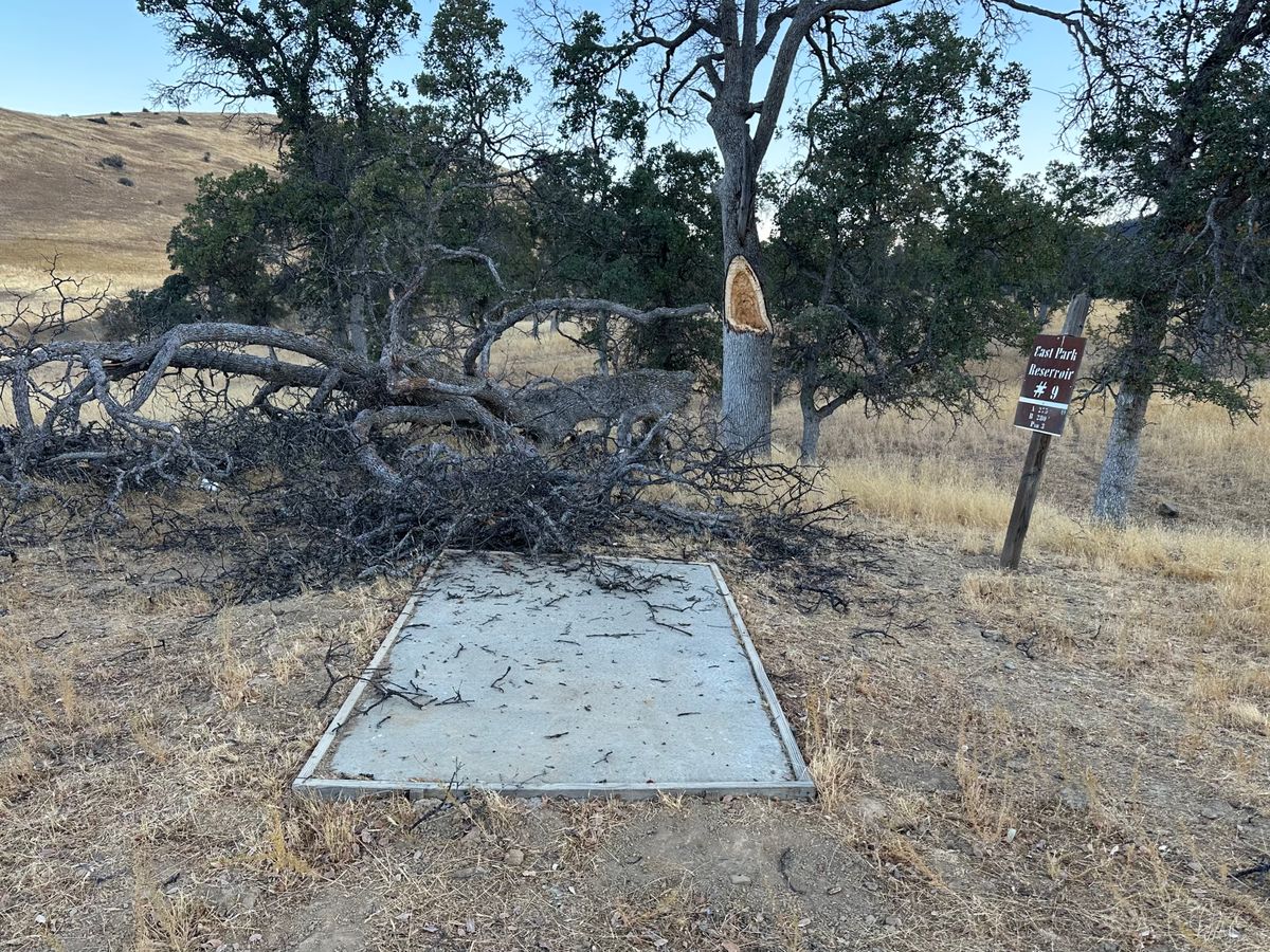 Poor maintenance on course. T pad #9.