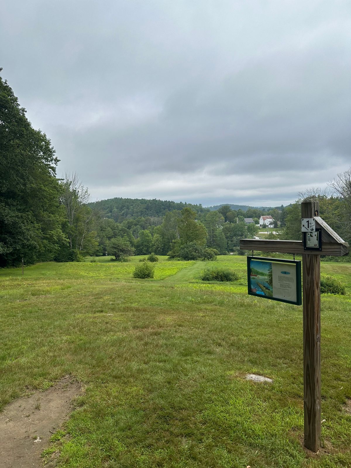 Tee pad 1