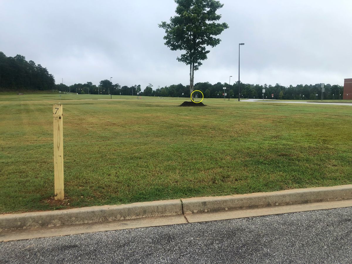 Hole 7 tee