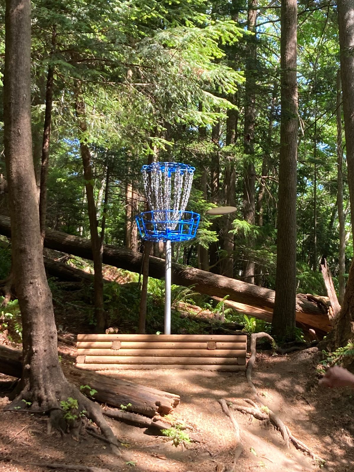 Hole 13 Summer Layout Position