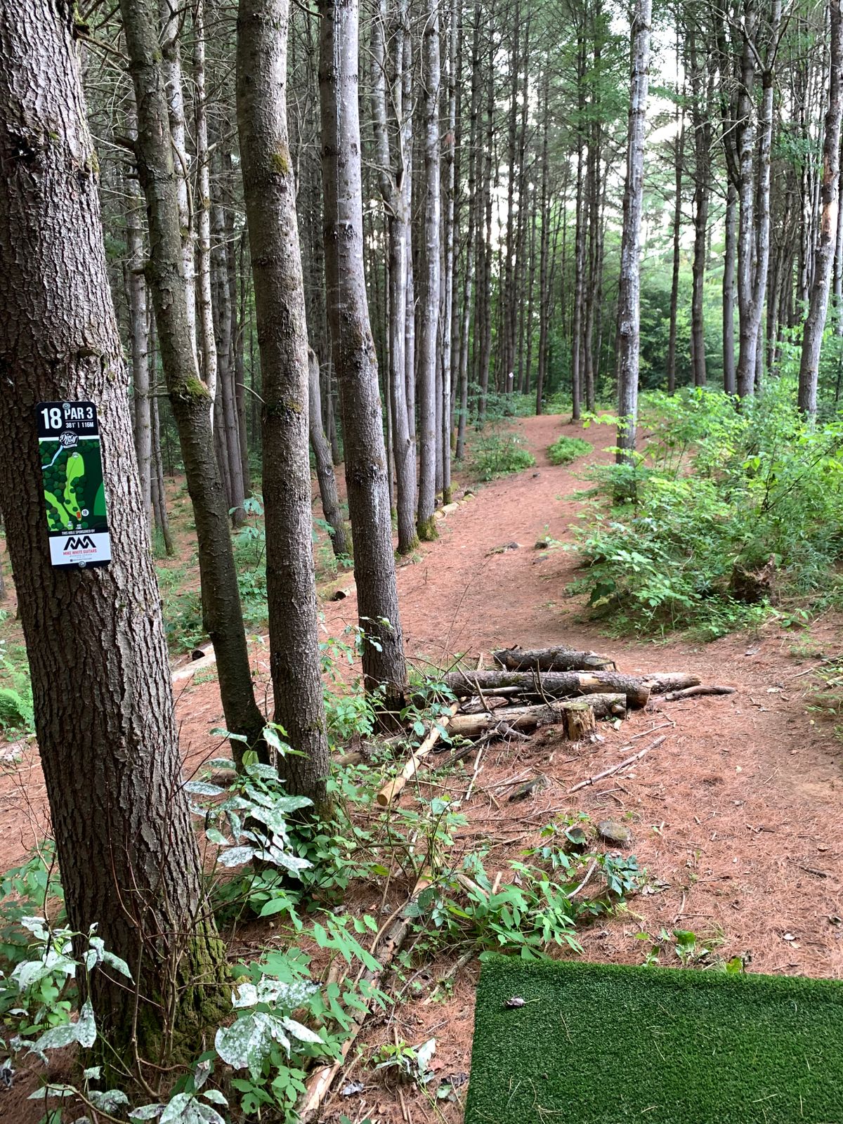 This was taken before the tee was moved.