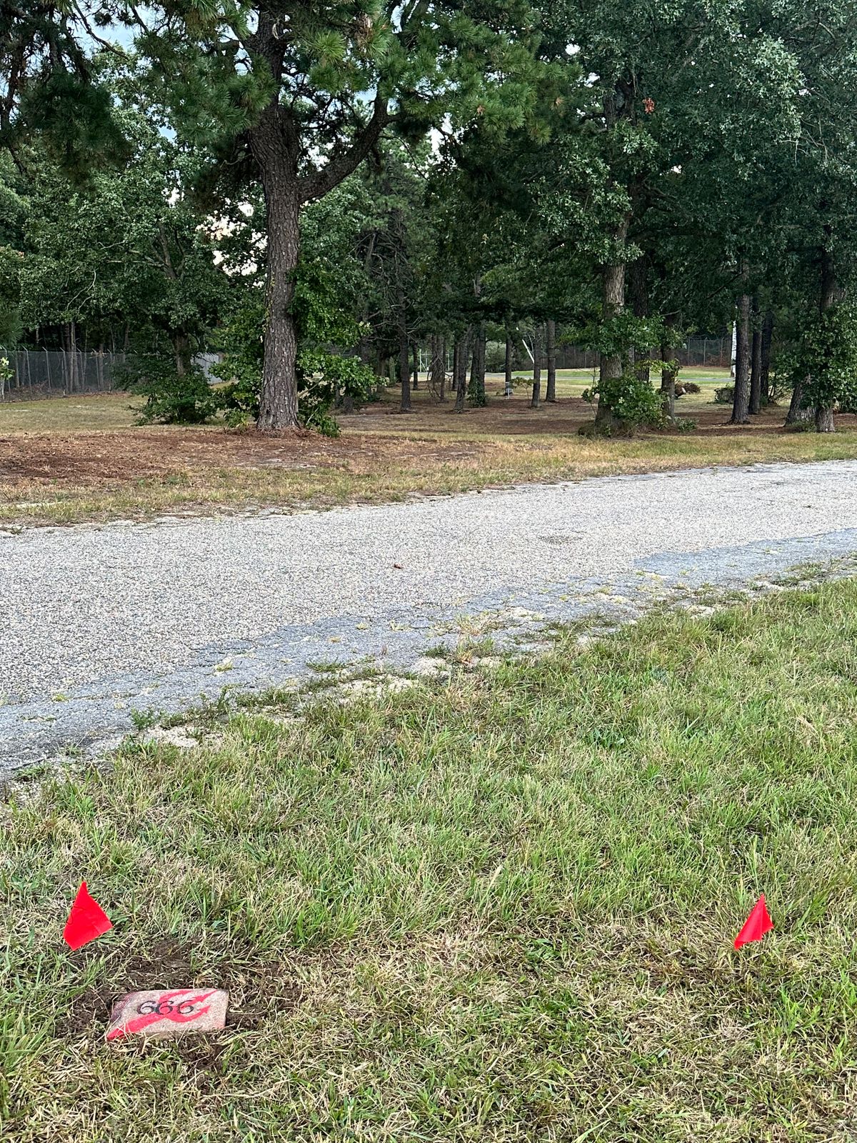 Tee 6