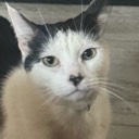 User avatar image