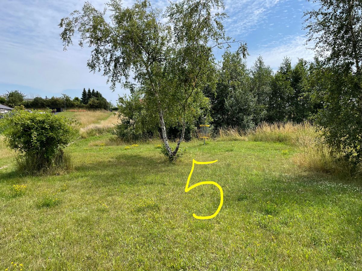 The course as it looks in 2023: Basket 5