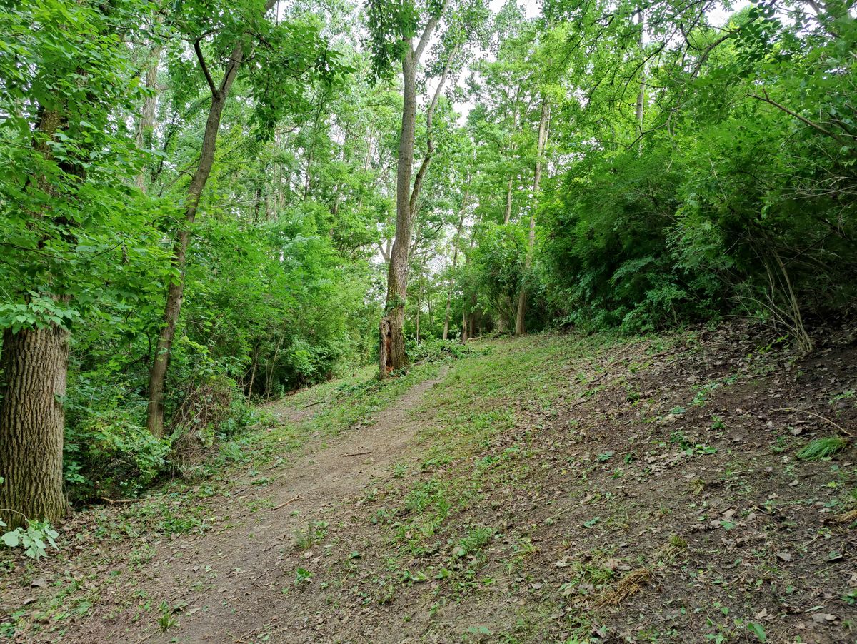 Hole 6