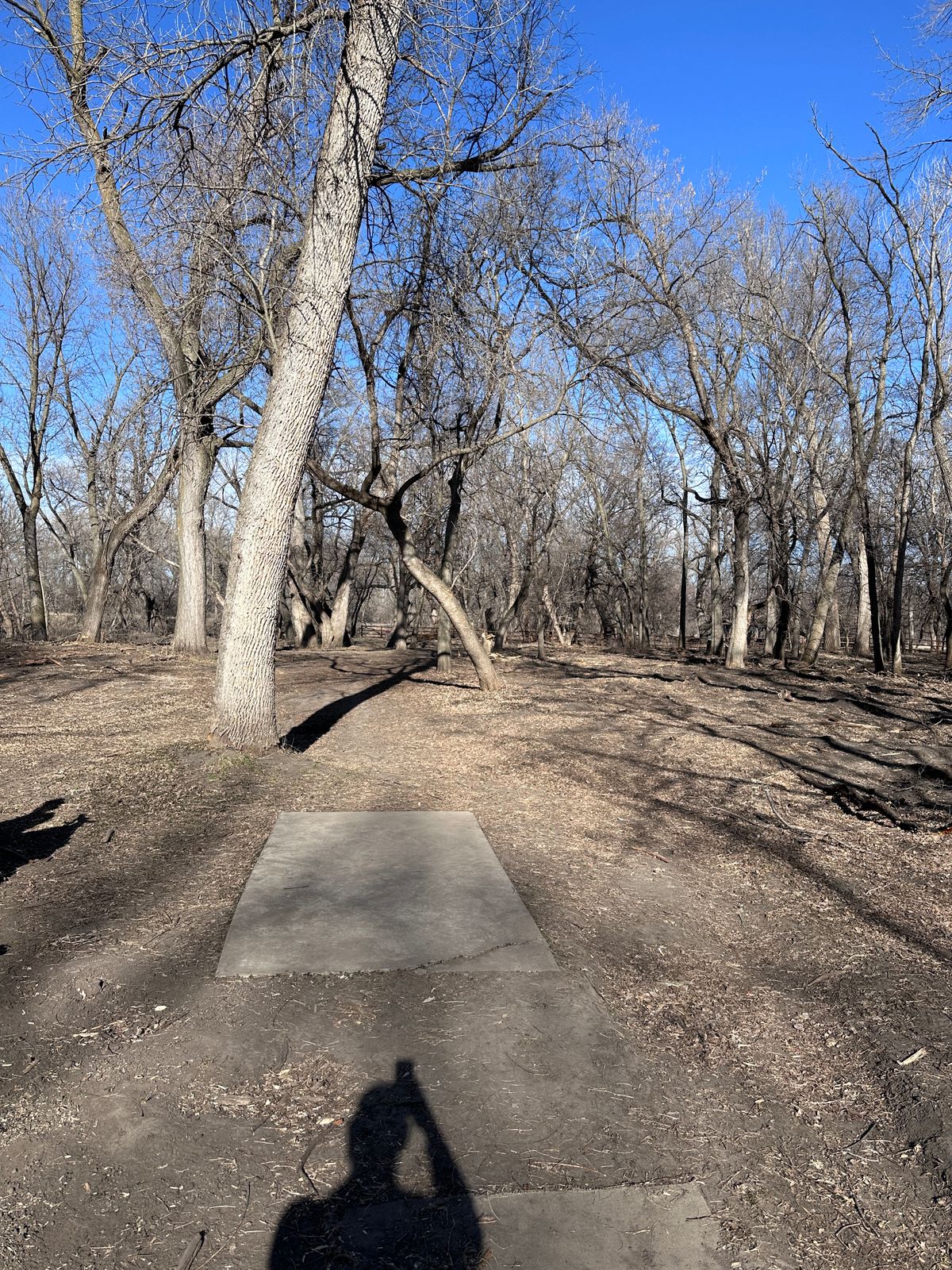 Hole 8
