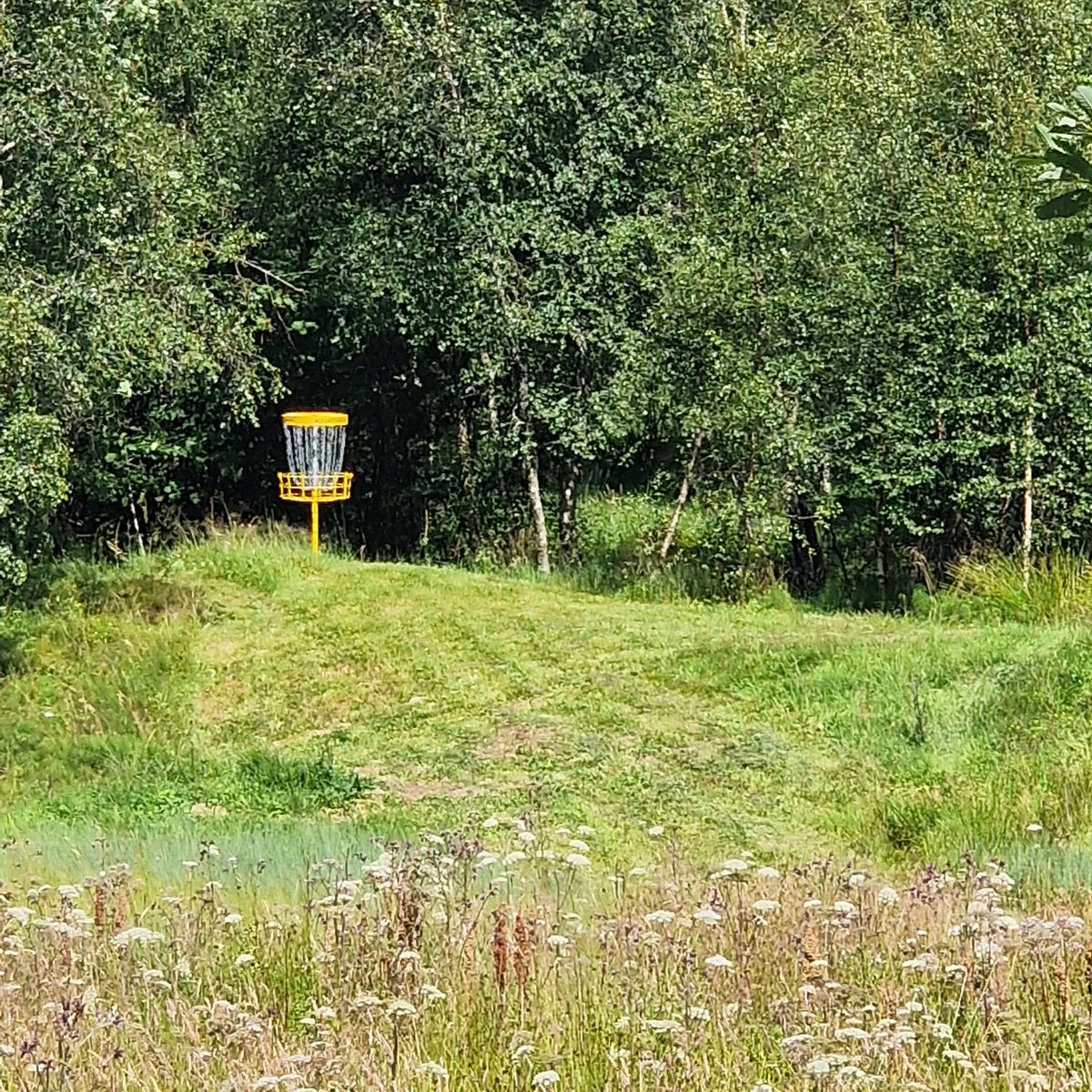 Banen er klippet 23 juli 2024