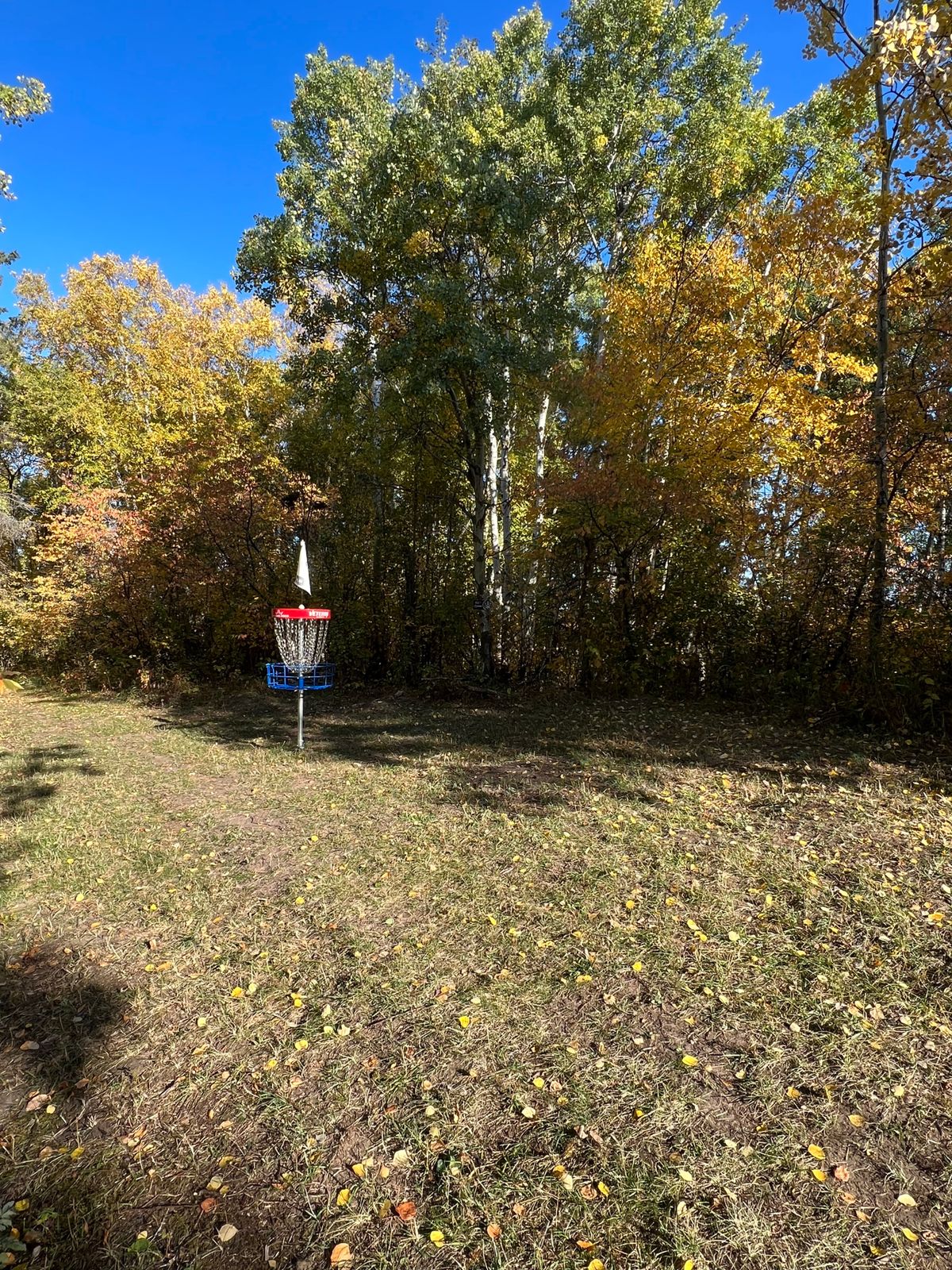 Hole 5 Green