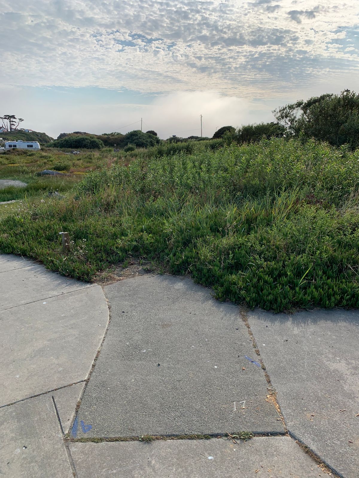 View from tee box on 17… unplayable IMO- Invisible basket, overgrown vegetation, cars, and people.