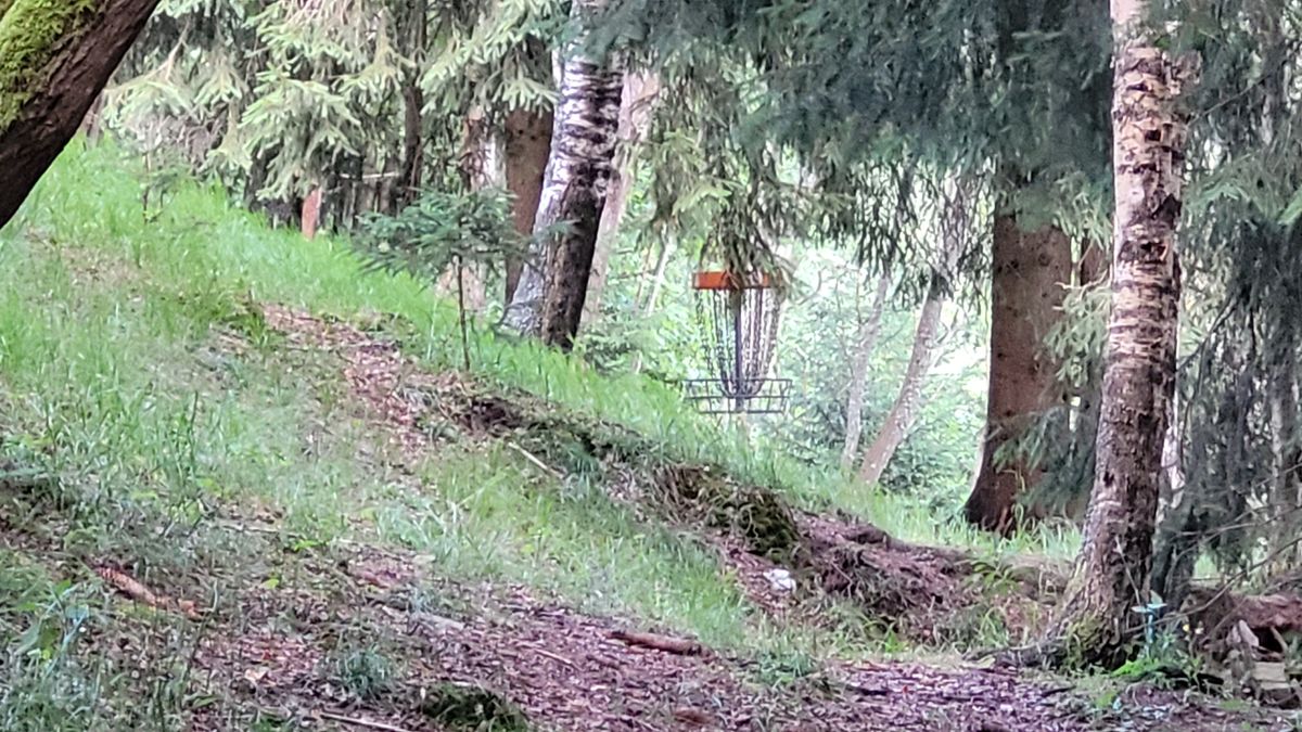 Hole 2