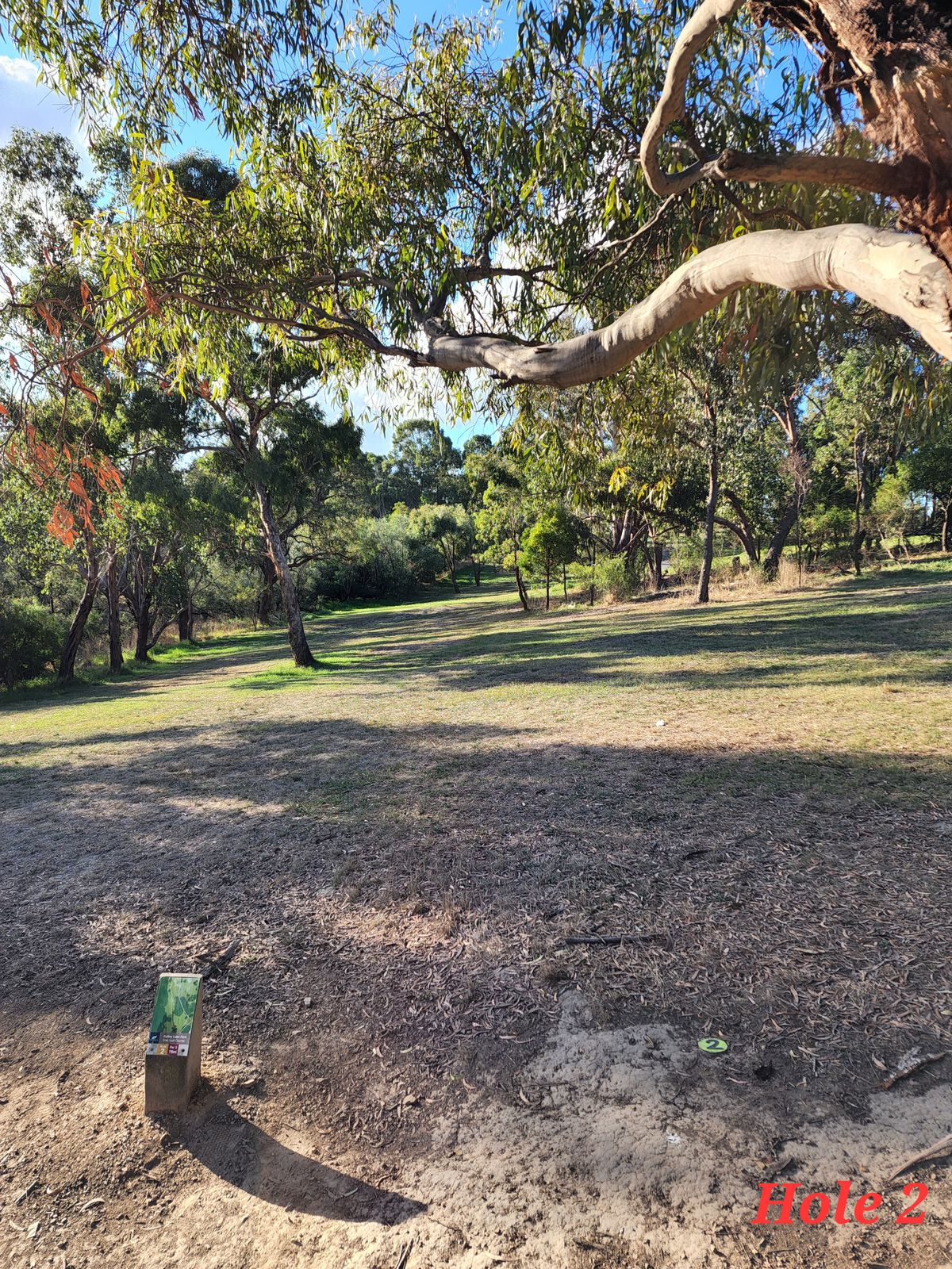 Forehand or backhand anhyzer shot. Just have to miss the tree on the left. Avoid fading out early as the 'snake pit' will consume your disc!