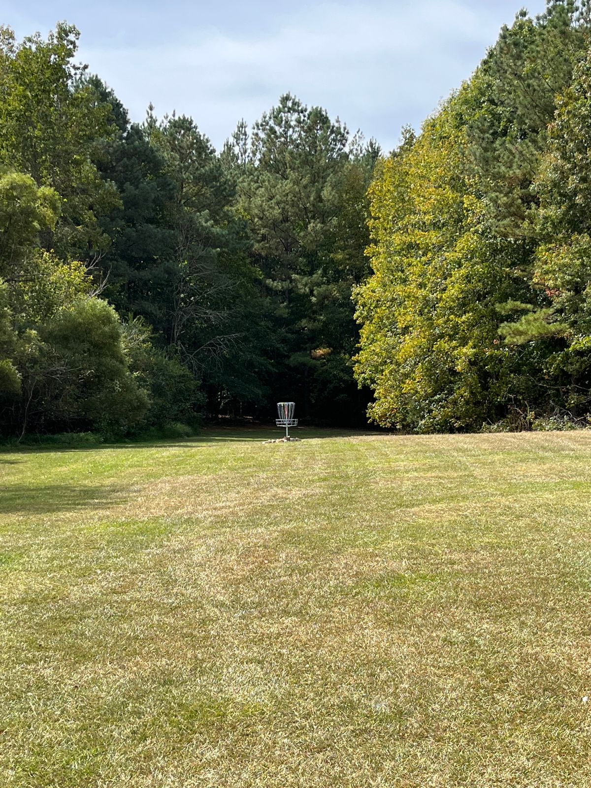 Hole 12: green