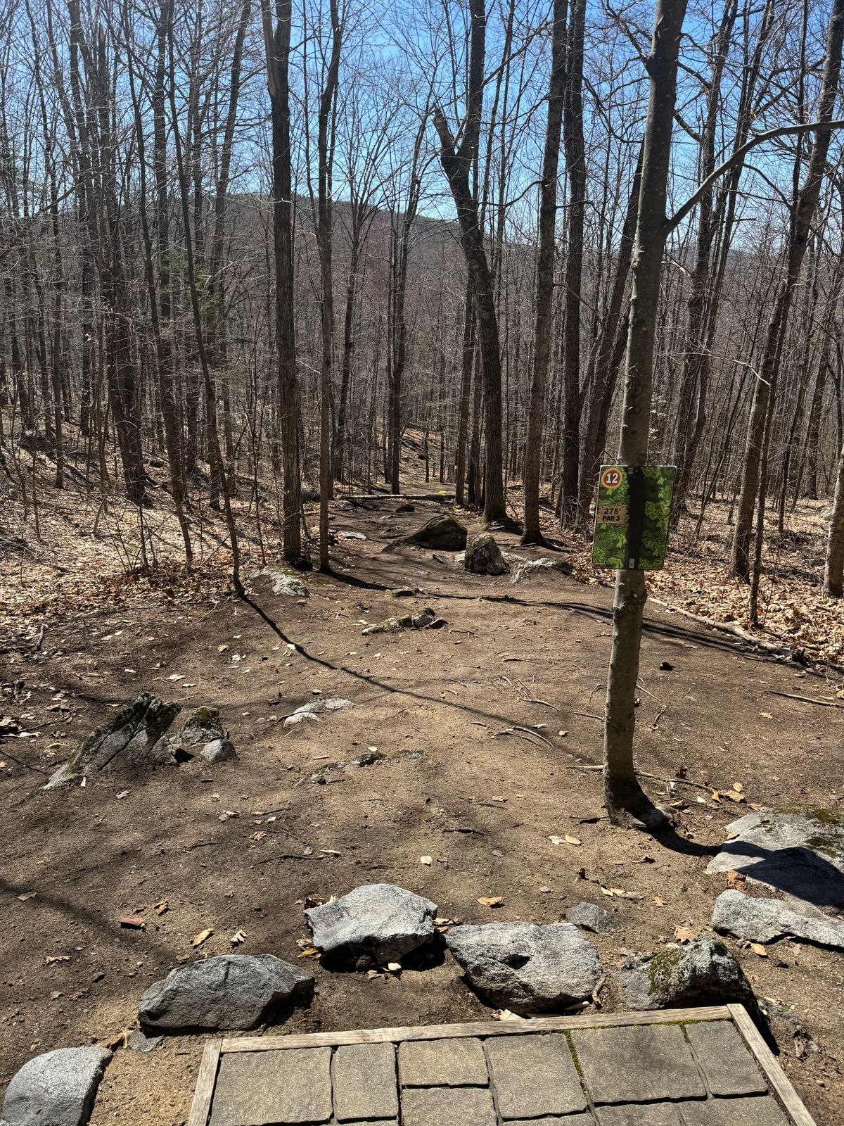 Hole 12