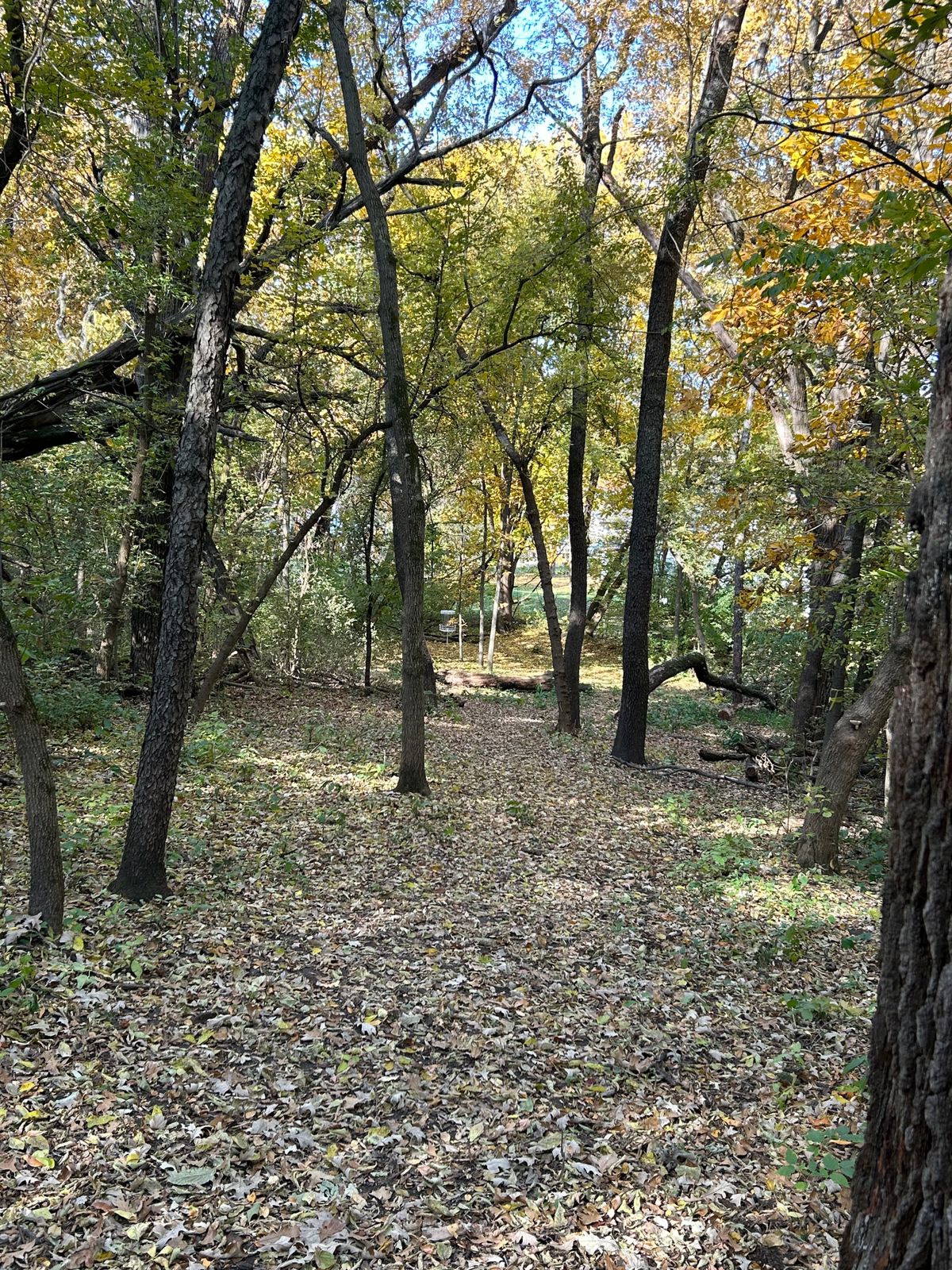 View from 14’s tee down the fairway