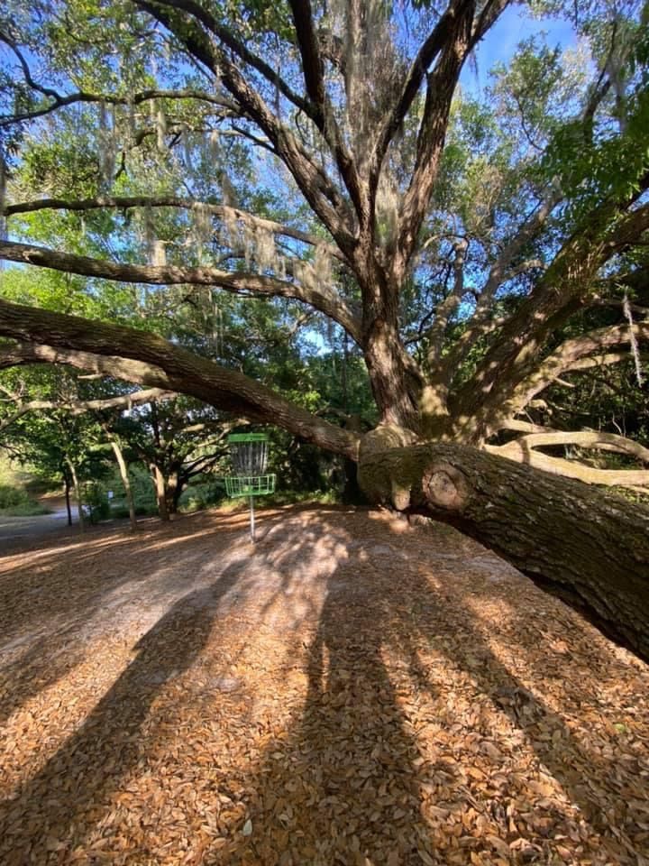 Natural obstacles