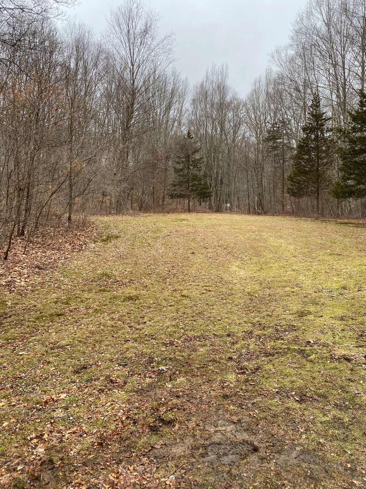 Hole 9 tee