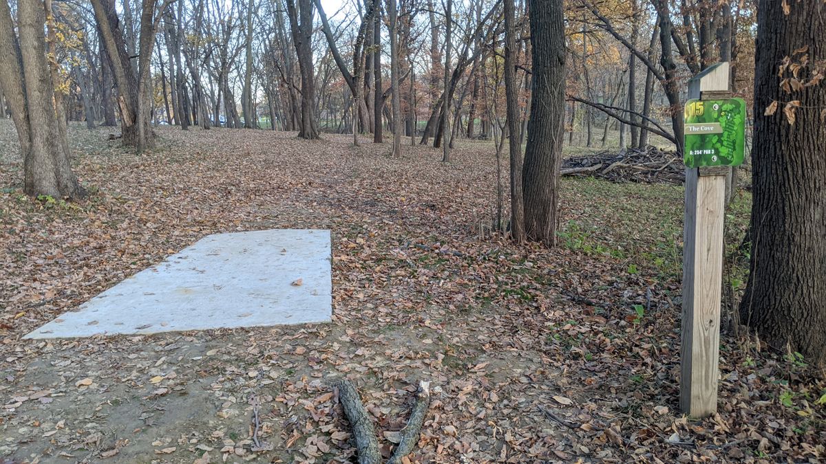 Hole #15