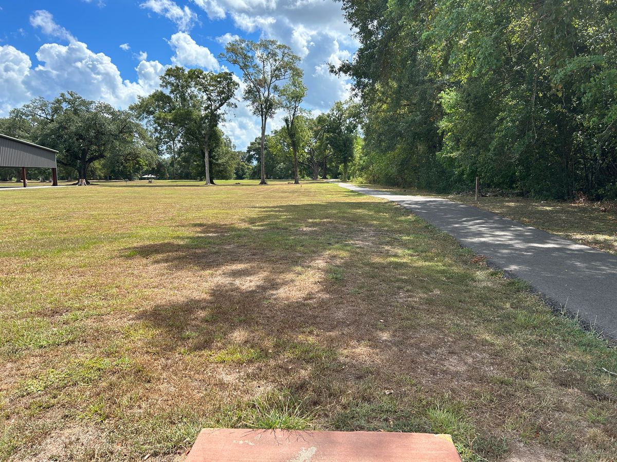 Hole 6 Fairway