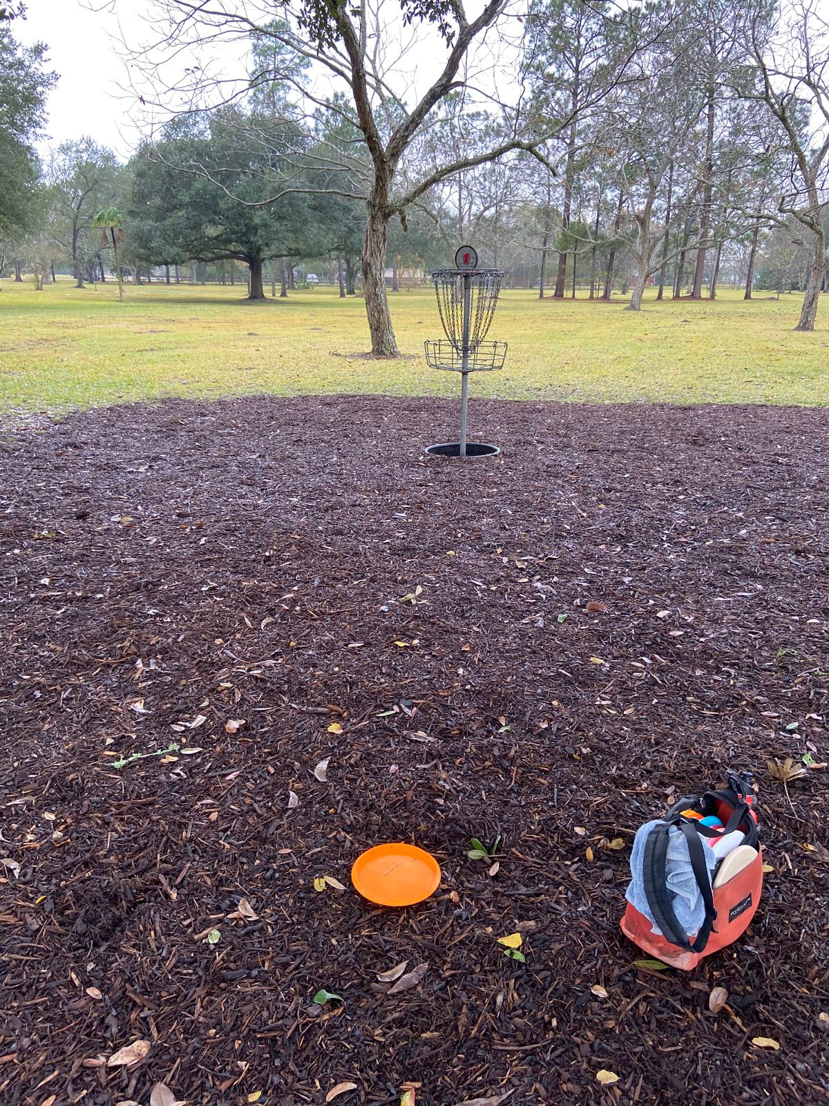 New mulch