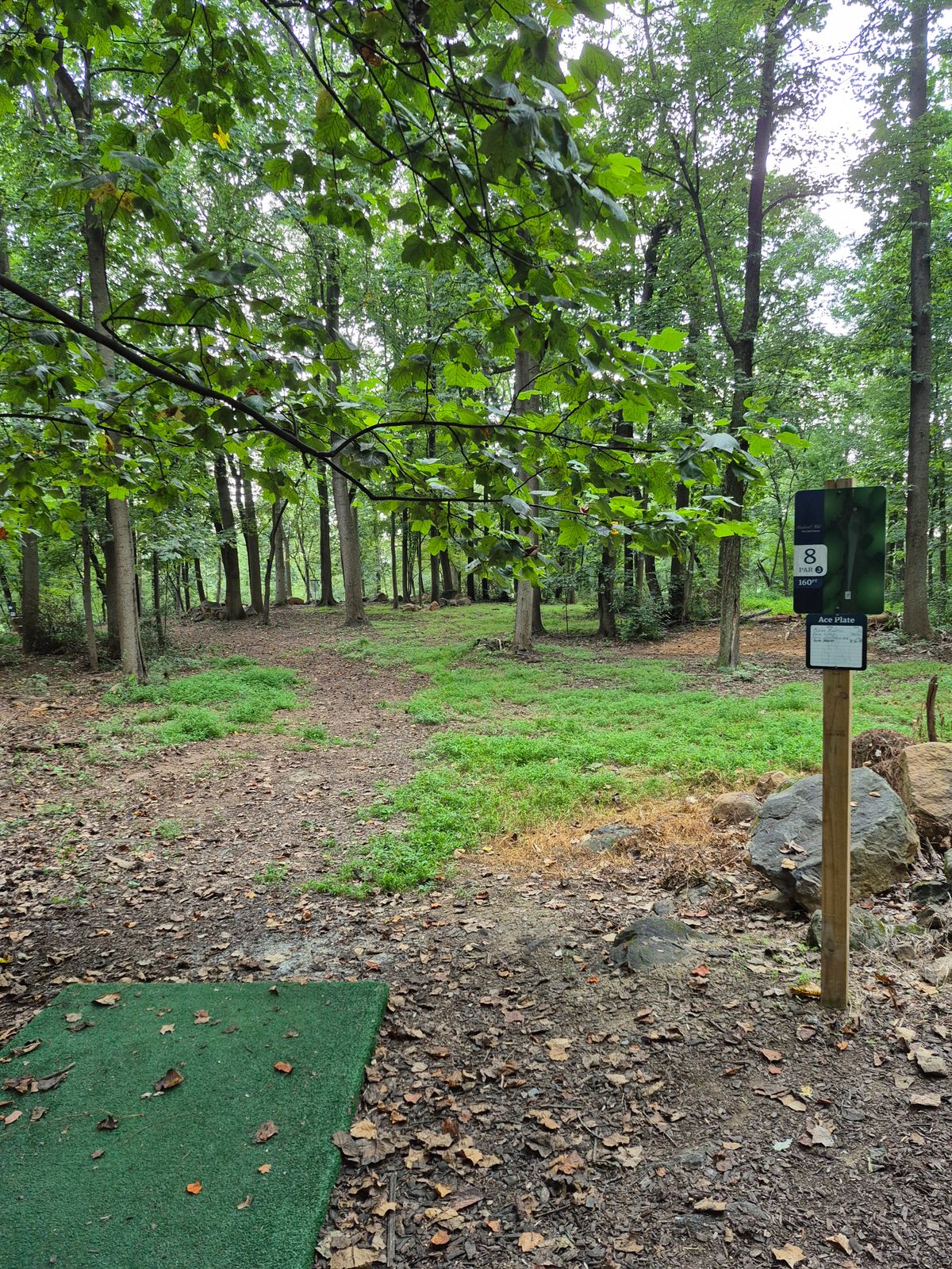 Hole 8
