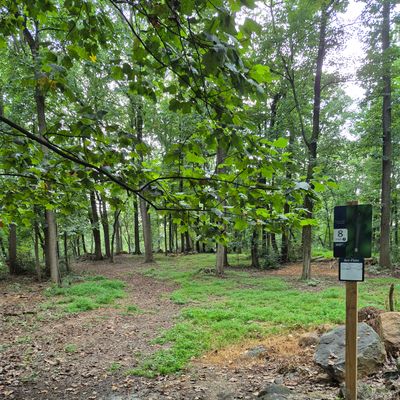 Hole 8
