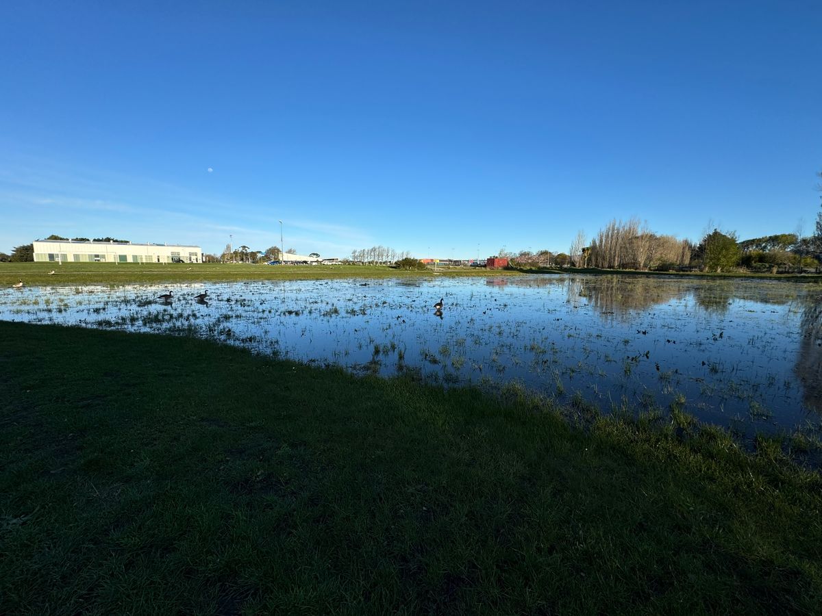 Swamped