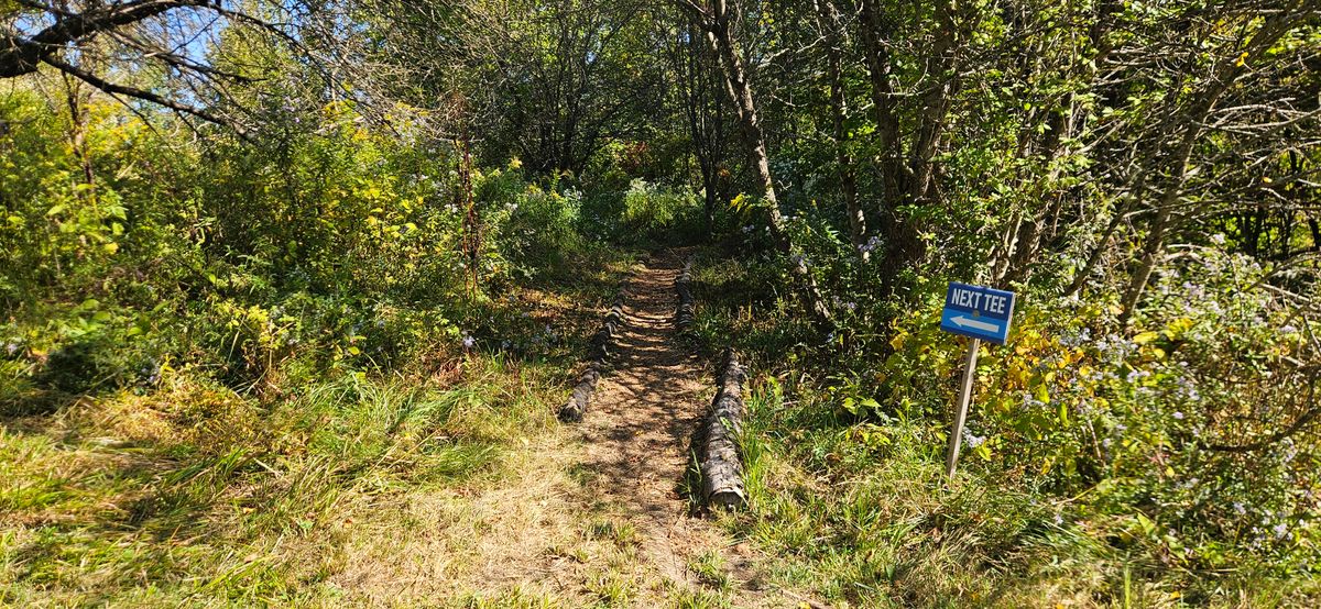 Path to new 9