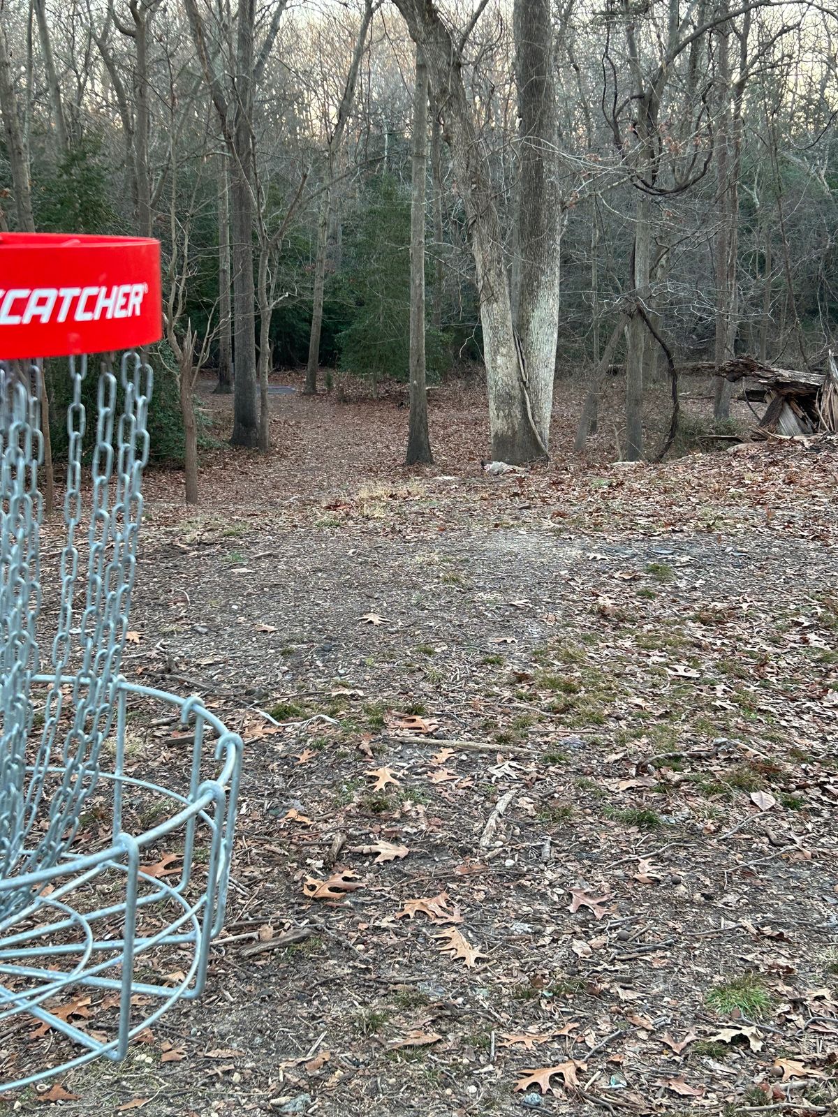 Looking down to the tee from 17’s basket