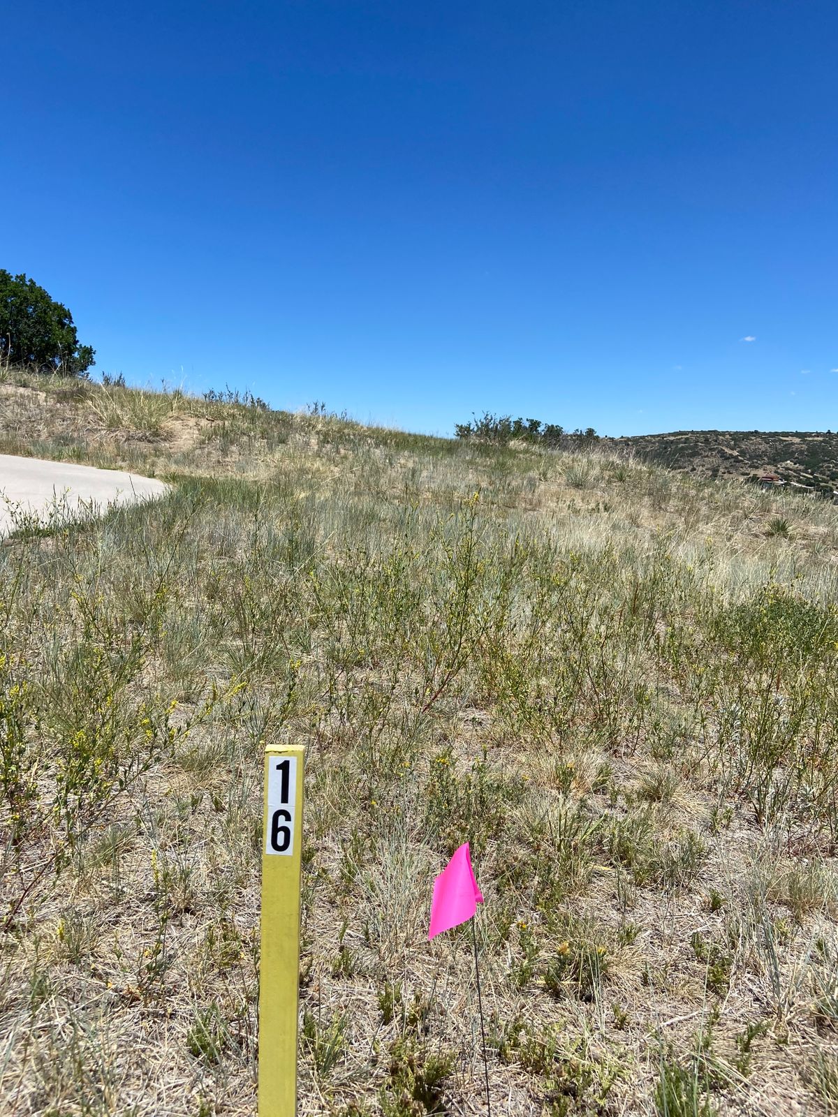 Hole 16 tee to basket