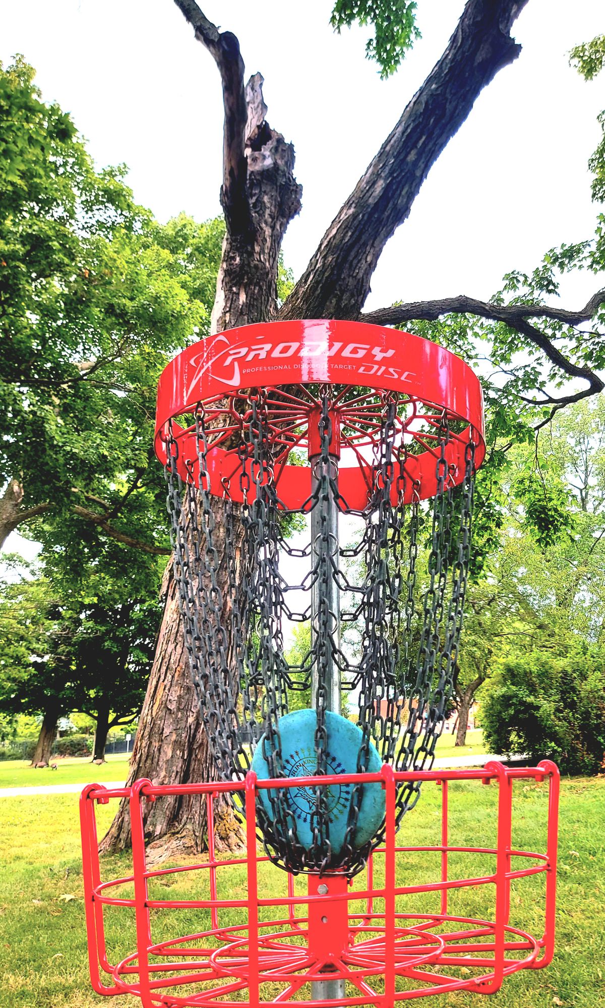 Putting