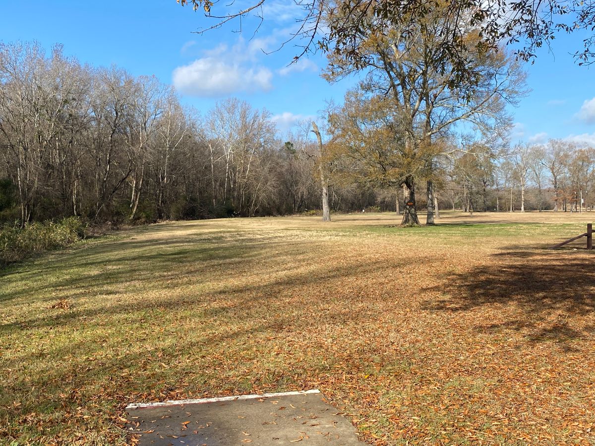 Hole 8 pad