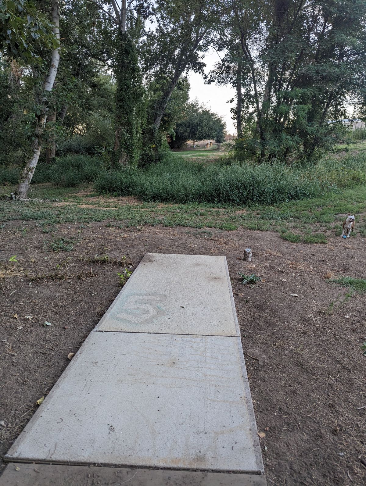 Hole #8
Double mando, low canopy