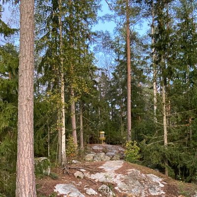 Väylä 7.