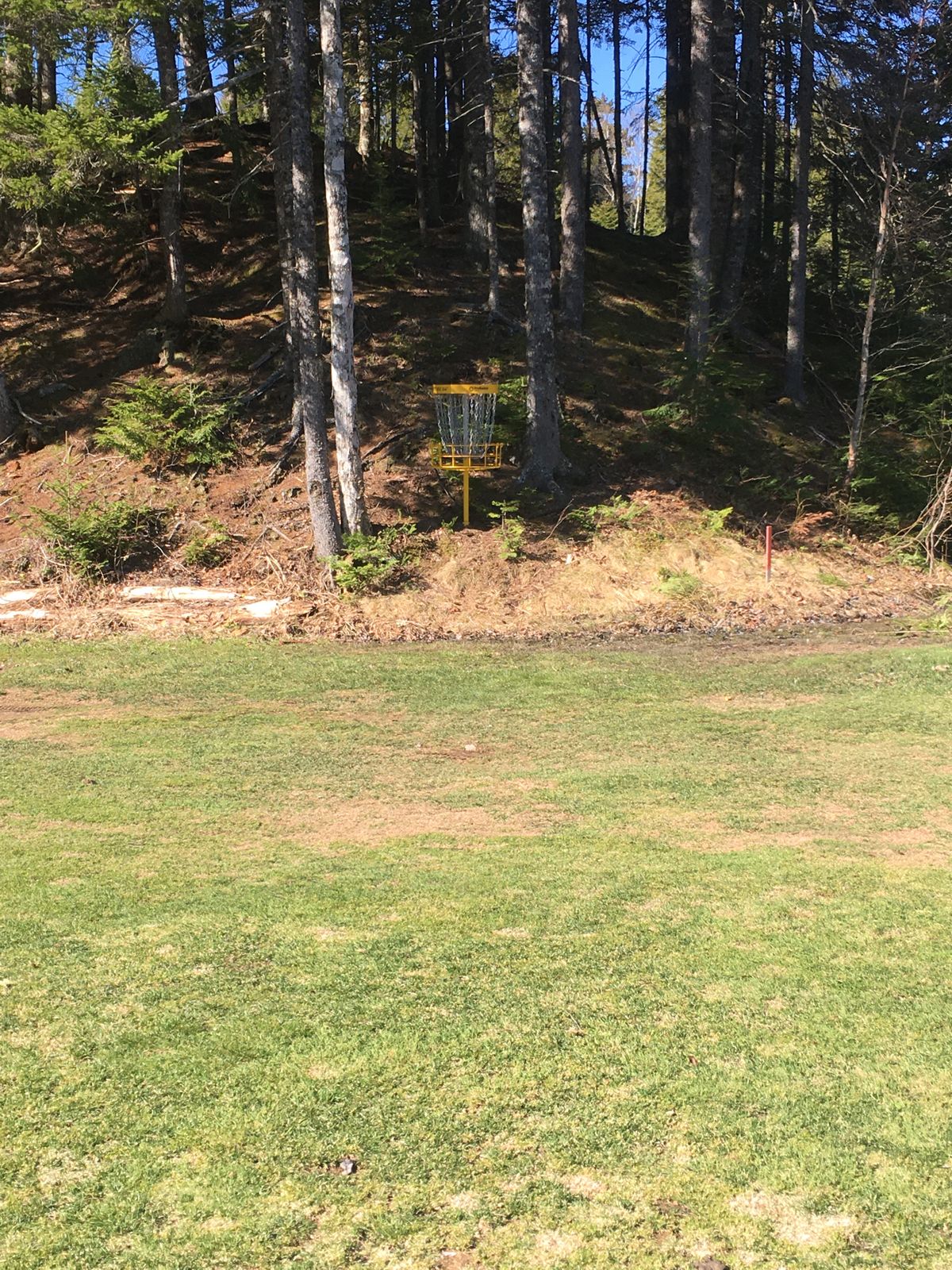 Basket Hole #1