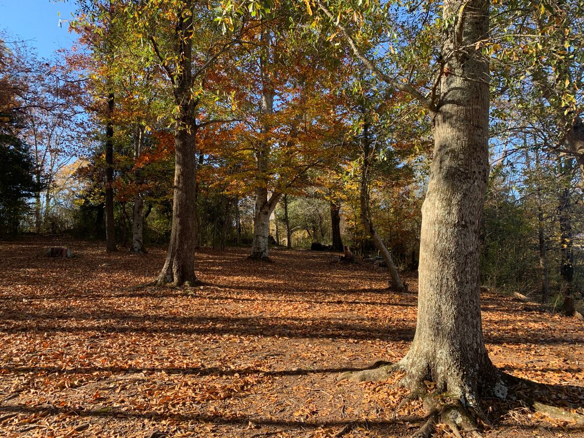 Looking back at hole 9 tee from basket