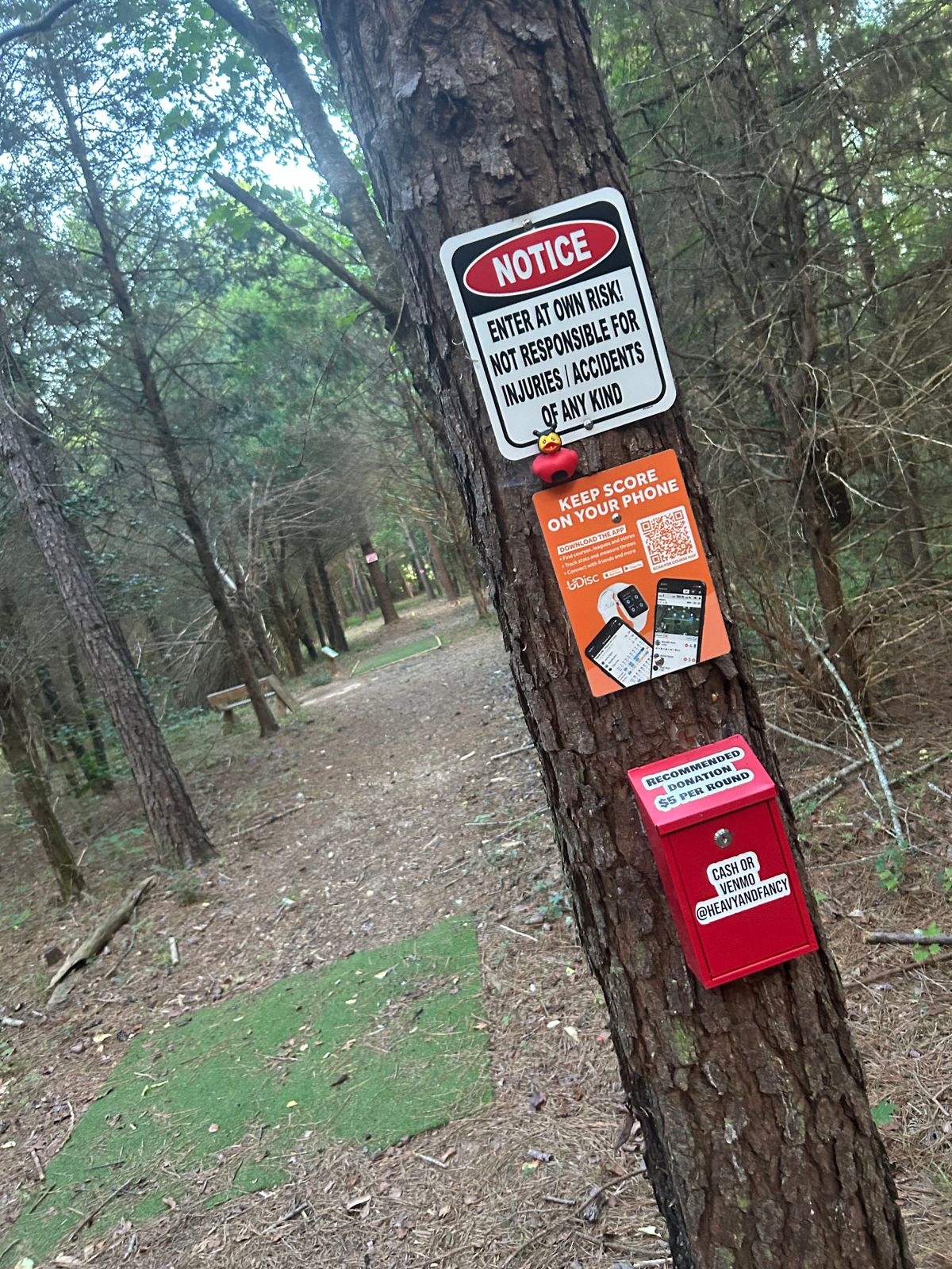 No bear yet 🤞🏼😵🫥